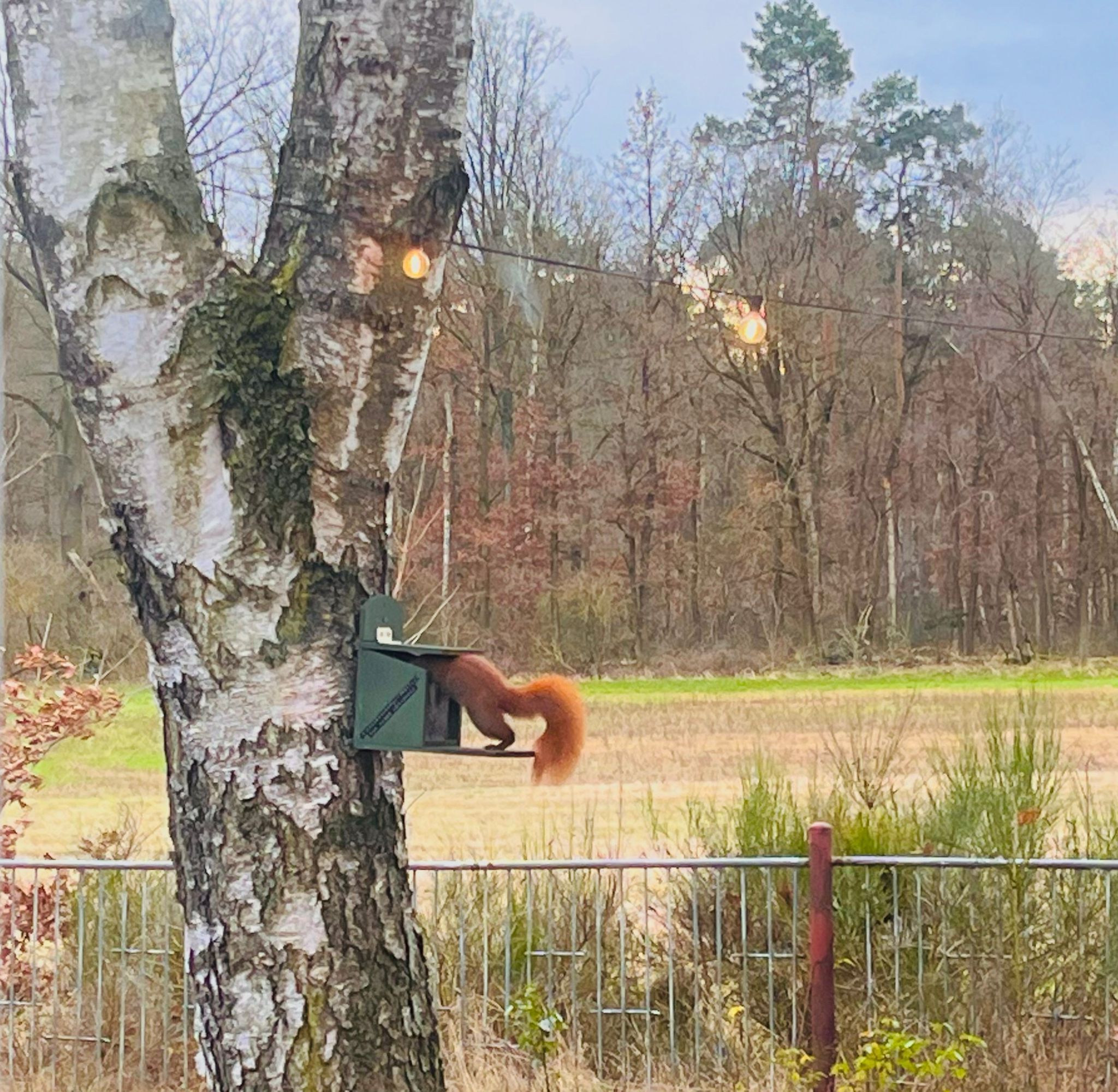 Àrea exterior de l'allotjament