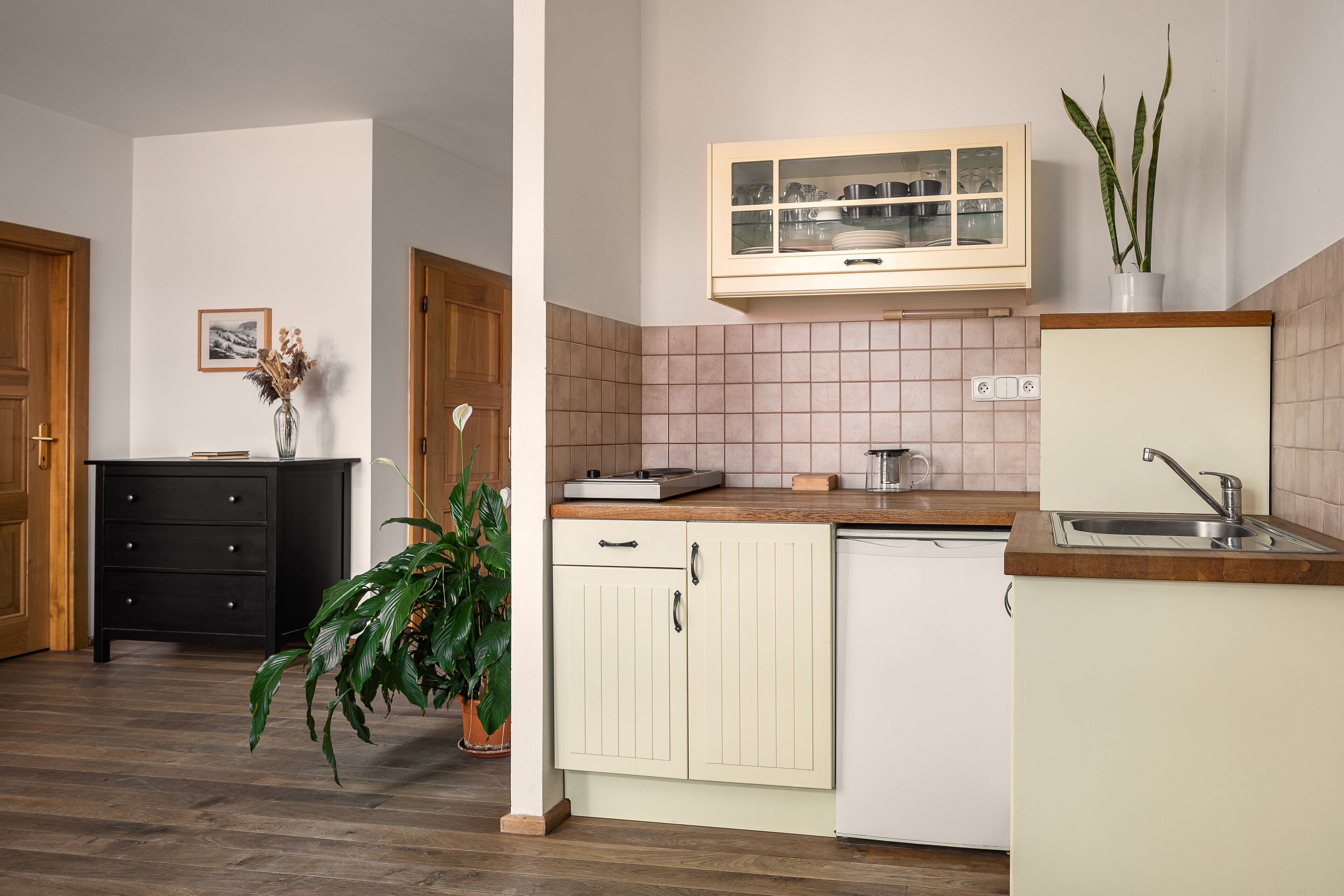 Une cuisine avec un plan de travail en bois, un lave-vaisselle blanc, un meuble avec une porte en verre et une plante en pot.