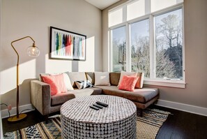 TV, fireplace, books