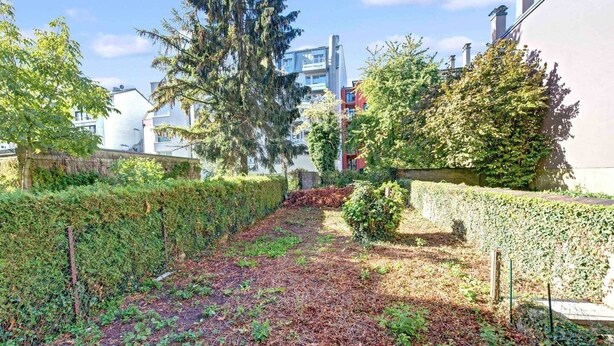 A residential area with a pathway lined with greenery and a tall evergreen tree. - Studio 4* center near Kirchberg, quiet with view (Luxembourg)