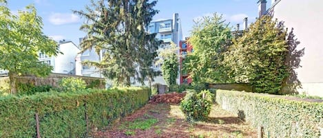 Ein Wohngebiet mit einem Grünflächenstreifen und einem hohen immergrünen Baum.