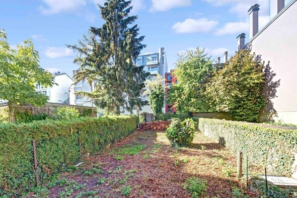 A residential area with a pathway lined with greenery and a tall evergreen tree.