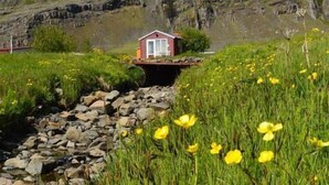 Uma pequena casa vermelha com porta branca, localizada em um caminho pedregoso cercado por grama verde e flores amarelas, com montanhas ao fundo.