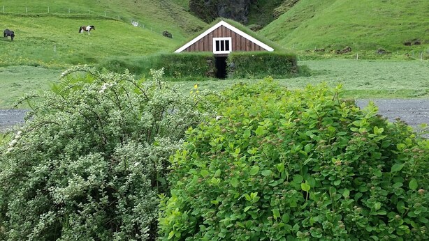 A small, rustic house with a white door and a window, surrounded by lush green hills and a grassy field. - Giljur Guesthouse (Vik I Myrdal)