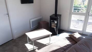 TV, fireplace, books