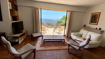 Télévision, cheminée, table de tennis de table, livres