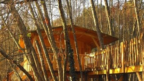 A wooden treehouse with a wooden deck and a staircase. - Cabane des cerfs (Allons)