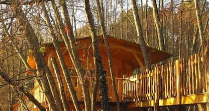 Cabane des cerfs