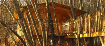 Cabane des cerfs