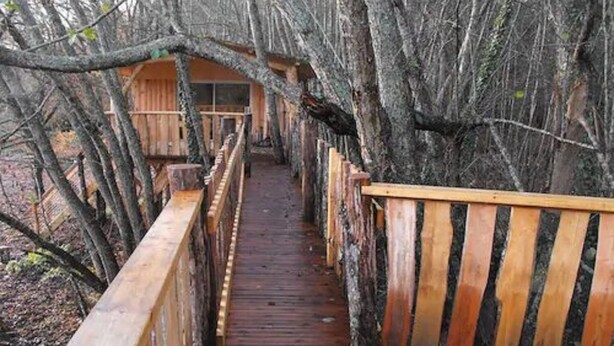 A wooden bridge walkway surrounded by trees. - Cabane des cerfs (Allons)
