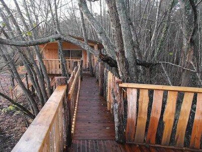 Cabane des cerfs