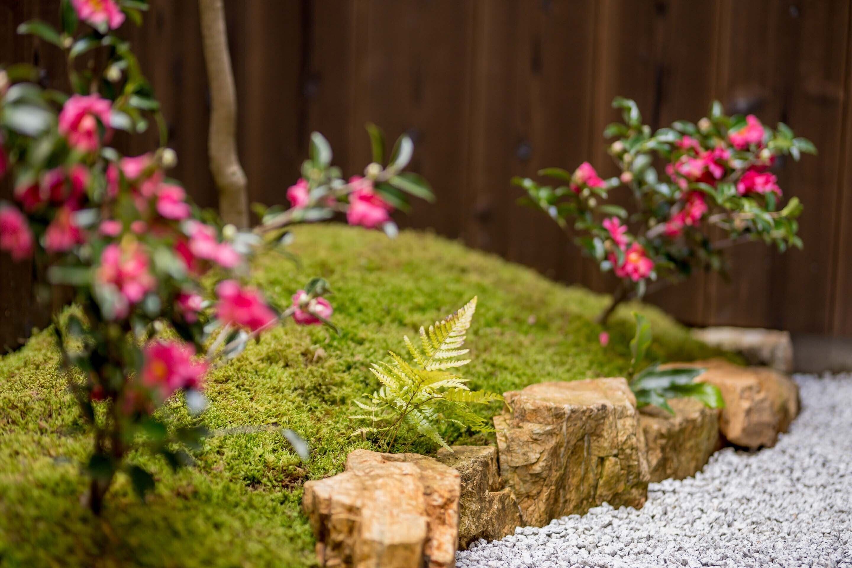 A garden with moss-covered ground, a fern, and pink flowering plants.