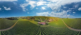 Stupnički Dvori