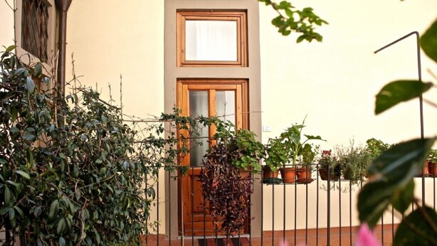 A building with a wooden door and windows, surrounded by greenery and potted plants.