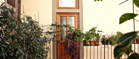 Detalle exterior