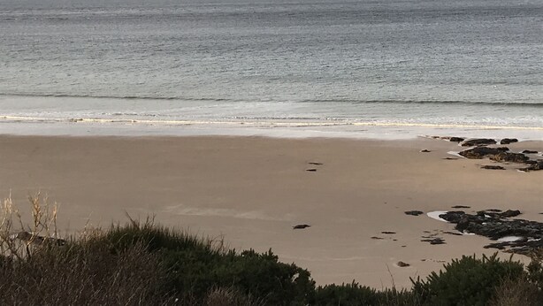 Une plage avec un rivage sablonneux et quelques rochers épars.
