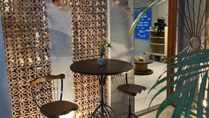 Una habitación con una mesa redonda y dos sillas, un muro decorativo con diseño de panal, y una planta verde grande.