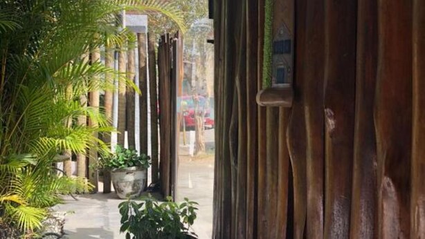 Un espacio al aire libre cubierto con cerca de madera, plantas en macetas y un sendero de concreto.
