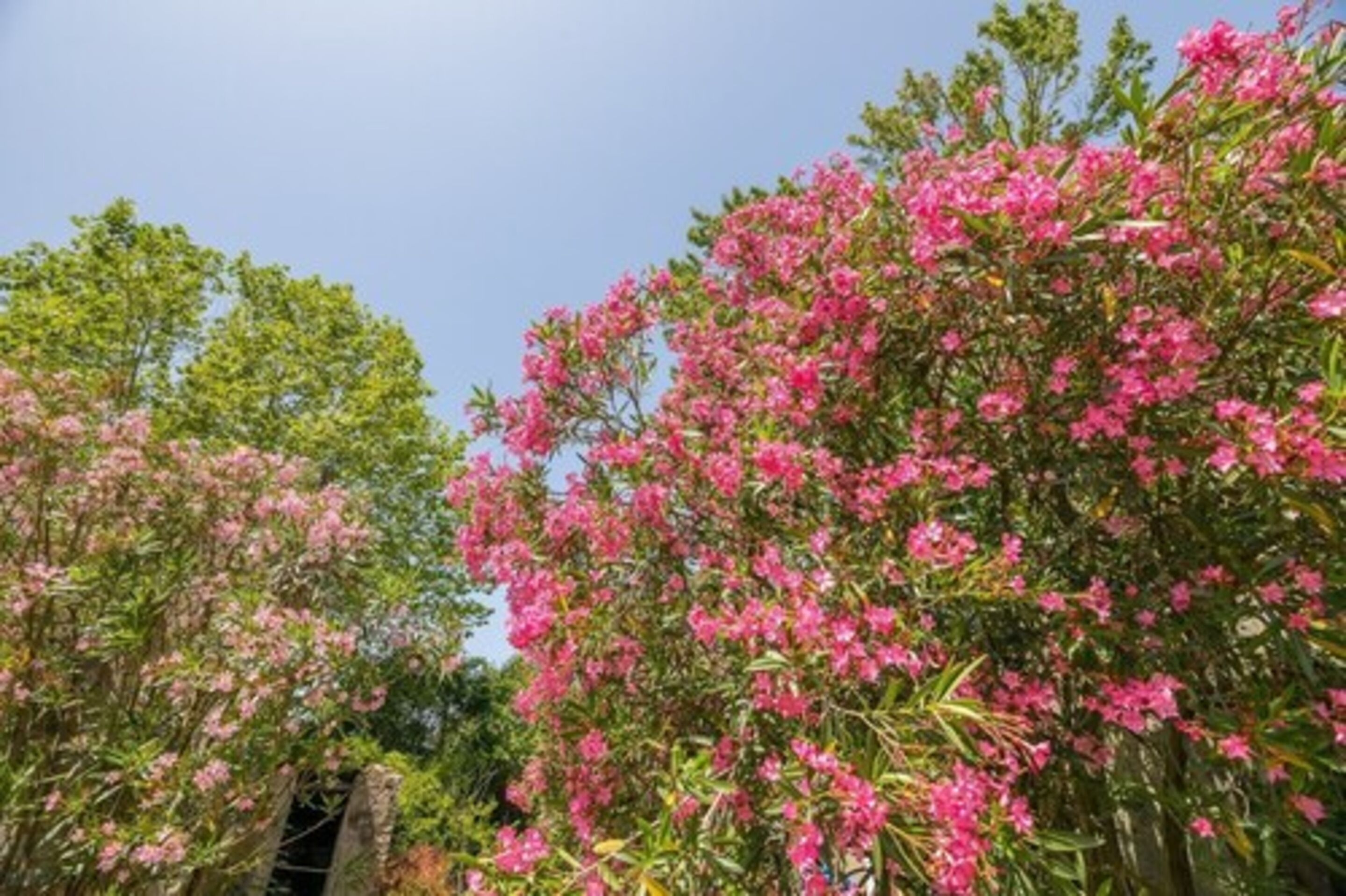 Foto - Appart'Hôtel Bellevue