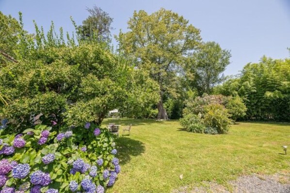 A garden with a variety of trees and shrubs, a lawn, and a picnic table.