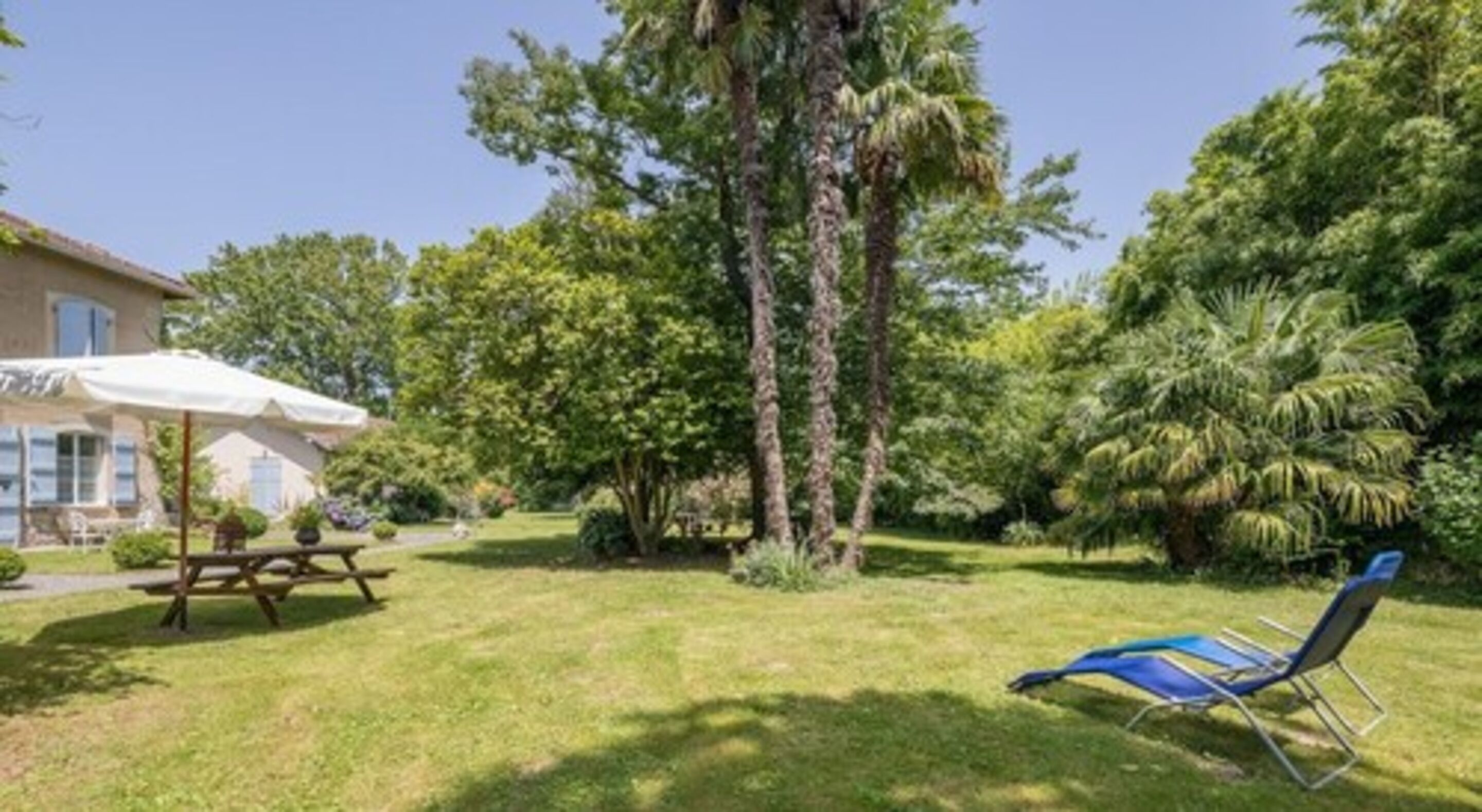 Un espacio al aire libre con césped, una mesa de picnic y una silla de descanso.