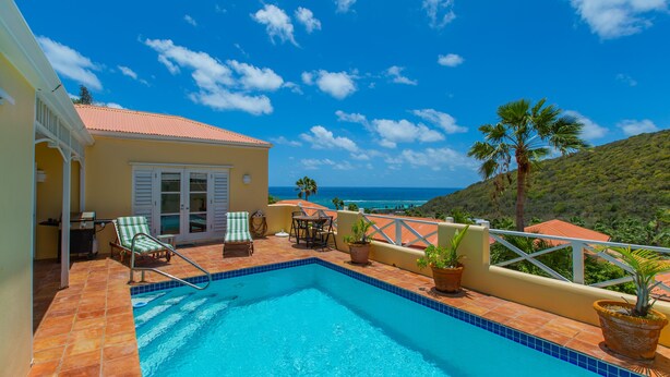 A pool area with a view of the ocean, a terrace with chairs and a table, and potted plants.