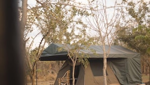 Luxury Tent (Semi) - Mikumi Faru Luxury Tented Campsite (Morogoro)