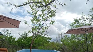 Pool - Mikumi Faru Luxury Tented Campsite (Morogoro)