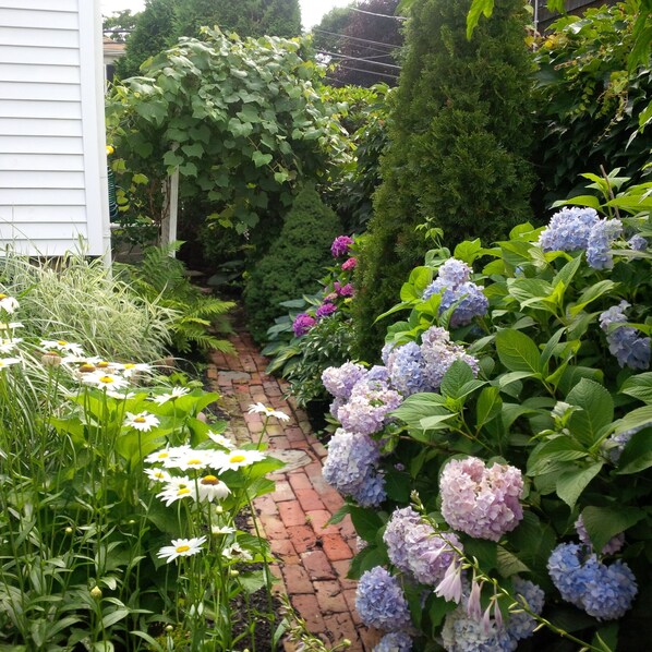A garden with a brick pathway, hydrangea flowers, and various shrubs.
