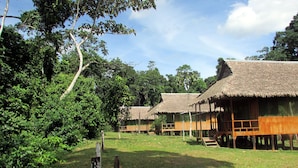 A rural setting with thatched-roof huts, surrounded by dense greenery and trees. - Huitoto Lake Lodge (Laberinto)