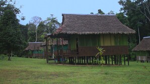 A thatched-roof structure with a wooden deck, surrounded by greenery. - Huitoto Lake Lodge (Laberinto)