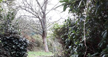 DenkmalgeschĂŒtztes HAUS *** - VOLLSTĂNDIGES ZENTRUM - Whirlpool, Billard, TischfuĂball