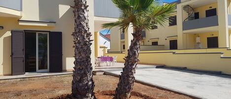 A courtyard with two palm trees, a covered seating area, and a building with balconies.