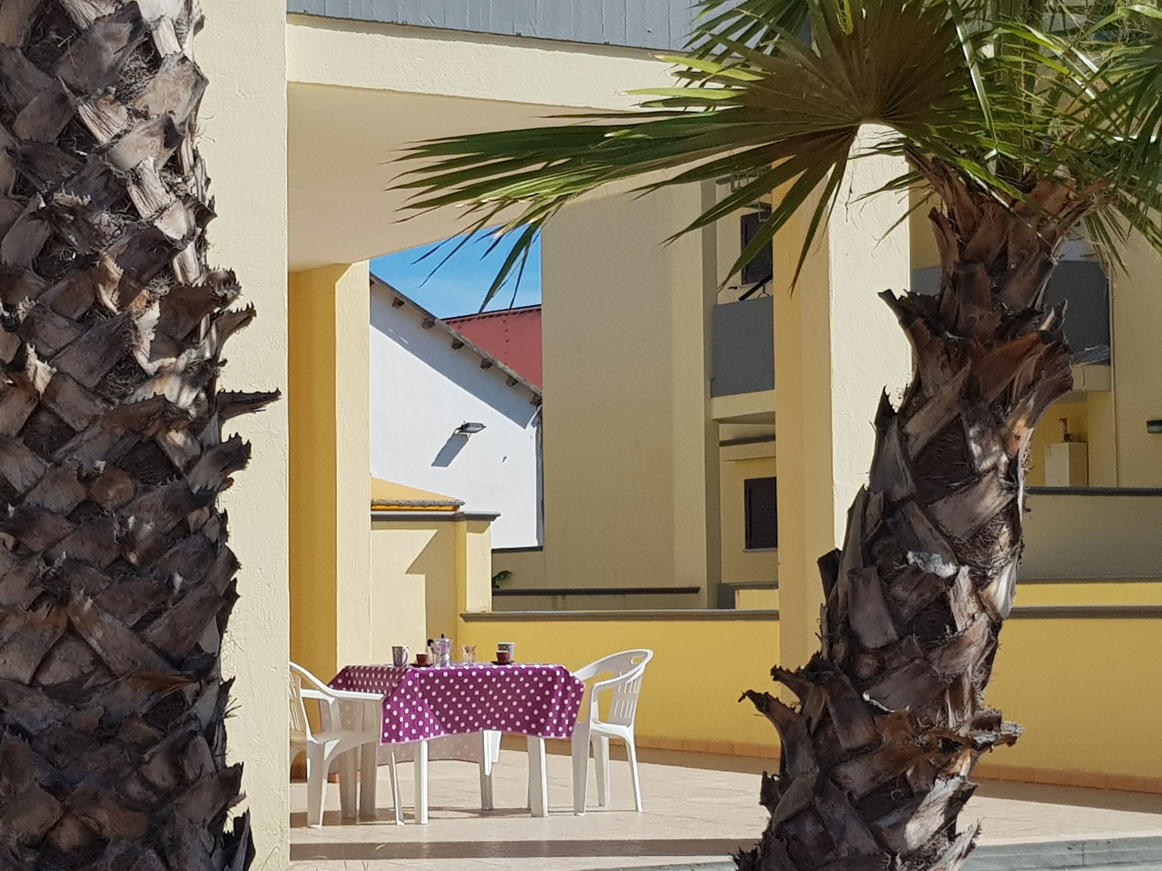 A patio area with a table and chairs, a palm tree, and a building in the background.