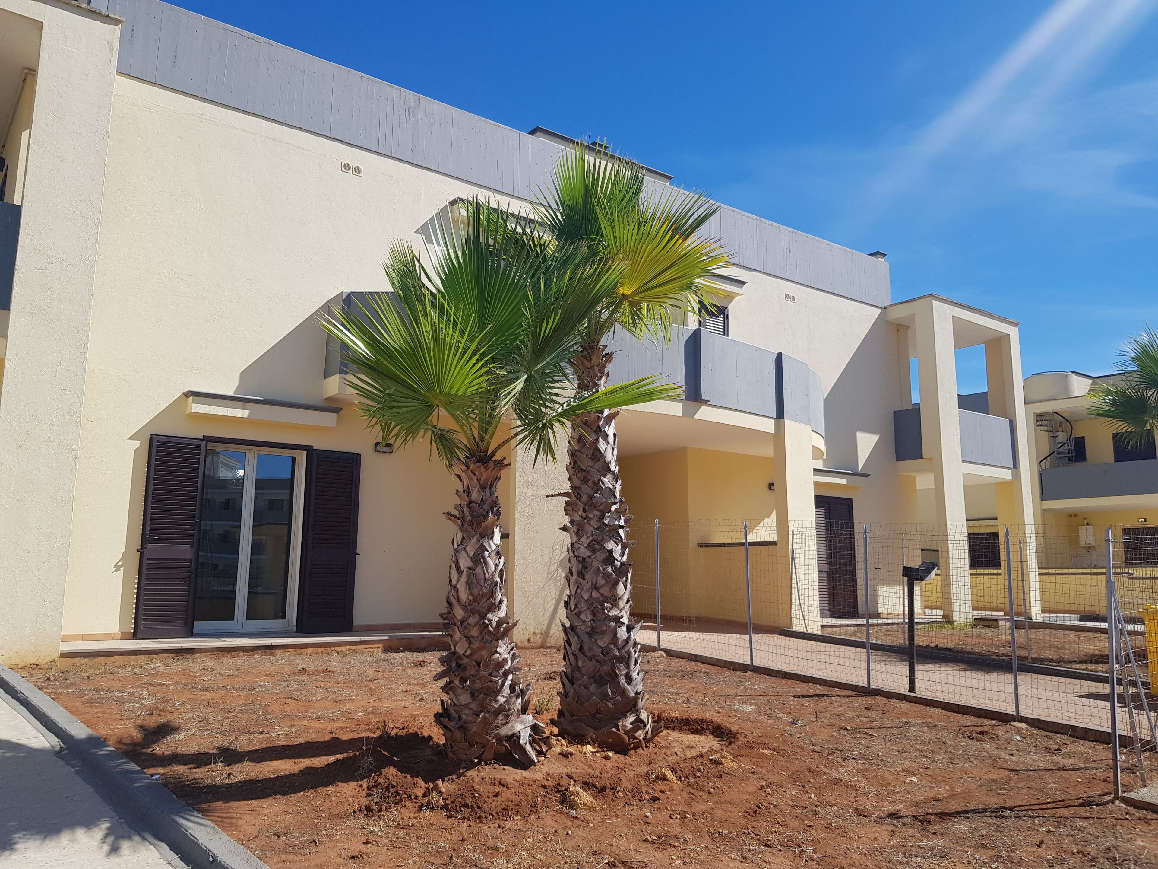 A modern building with a flat roof, two palm trees, and a clear blue sky.