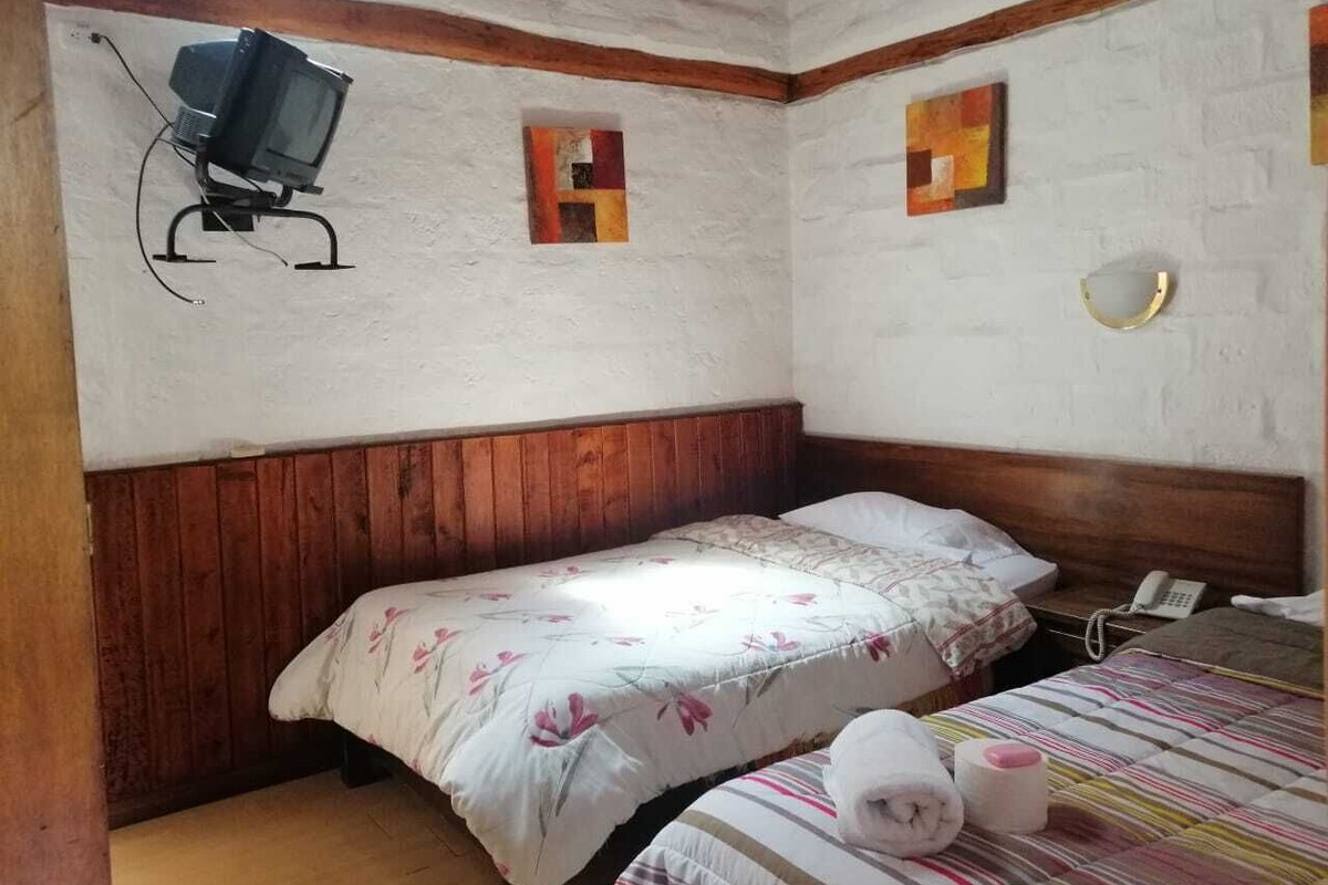 Triple Room, 3 Single Beds
