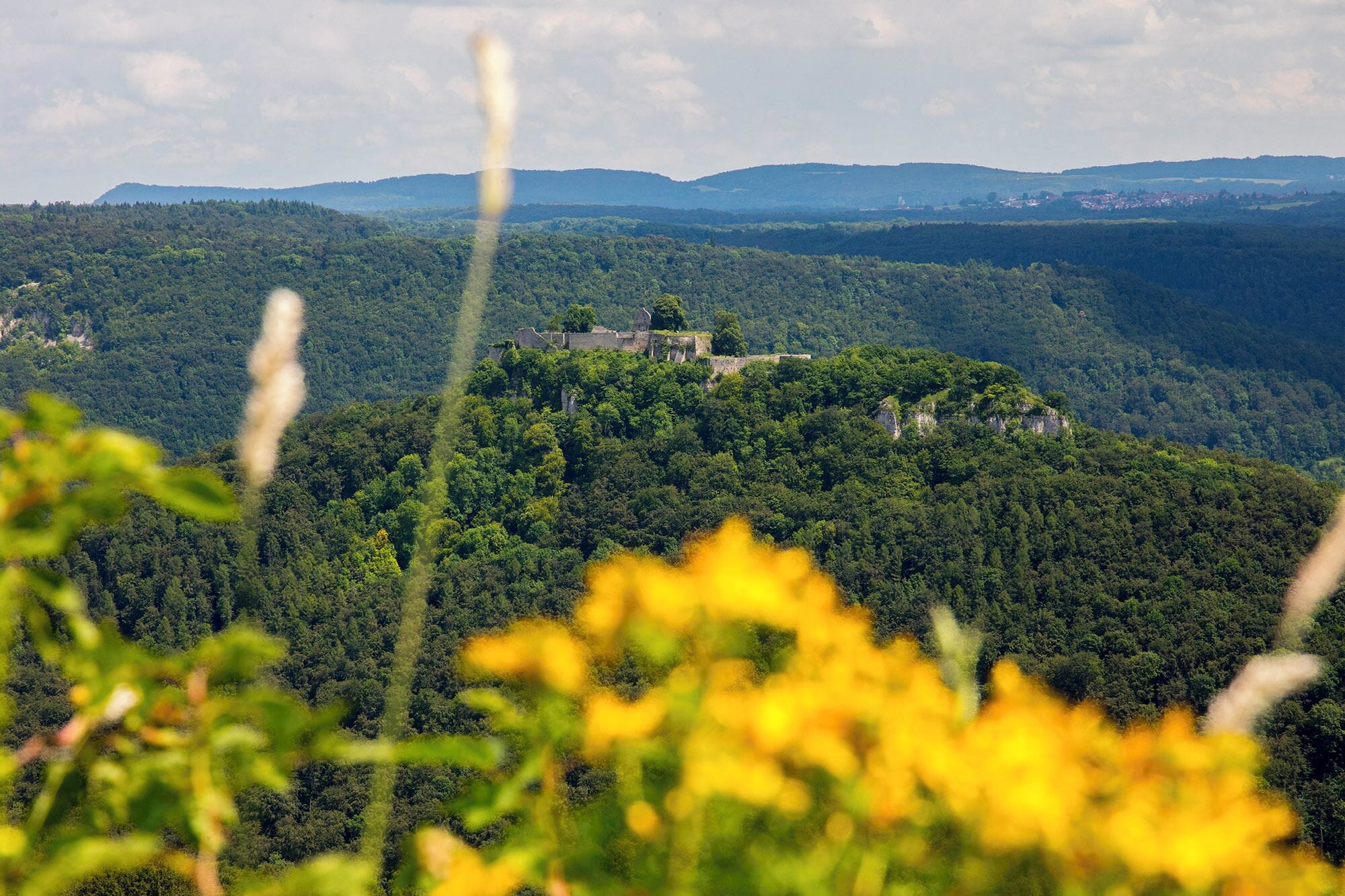 A view of a forested hill with a building on top, surrounded by greenery and distant hills.