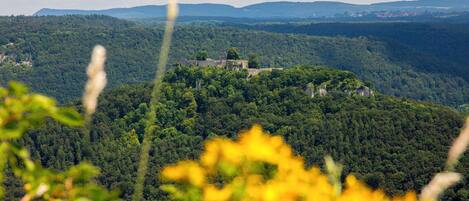 A view of a forested hill with a building on top, surrounded by greenery and distant hills.