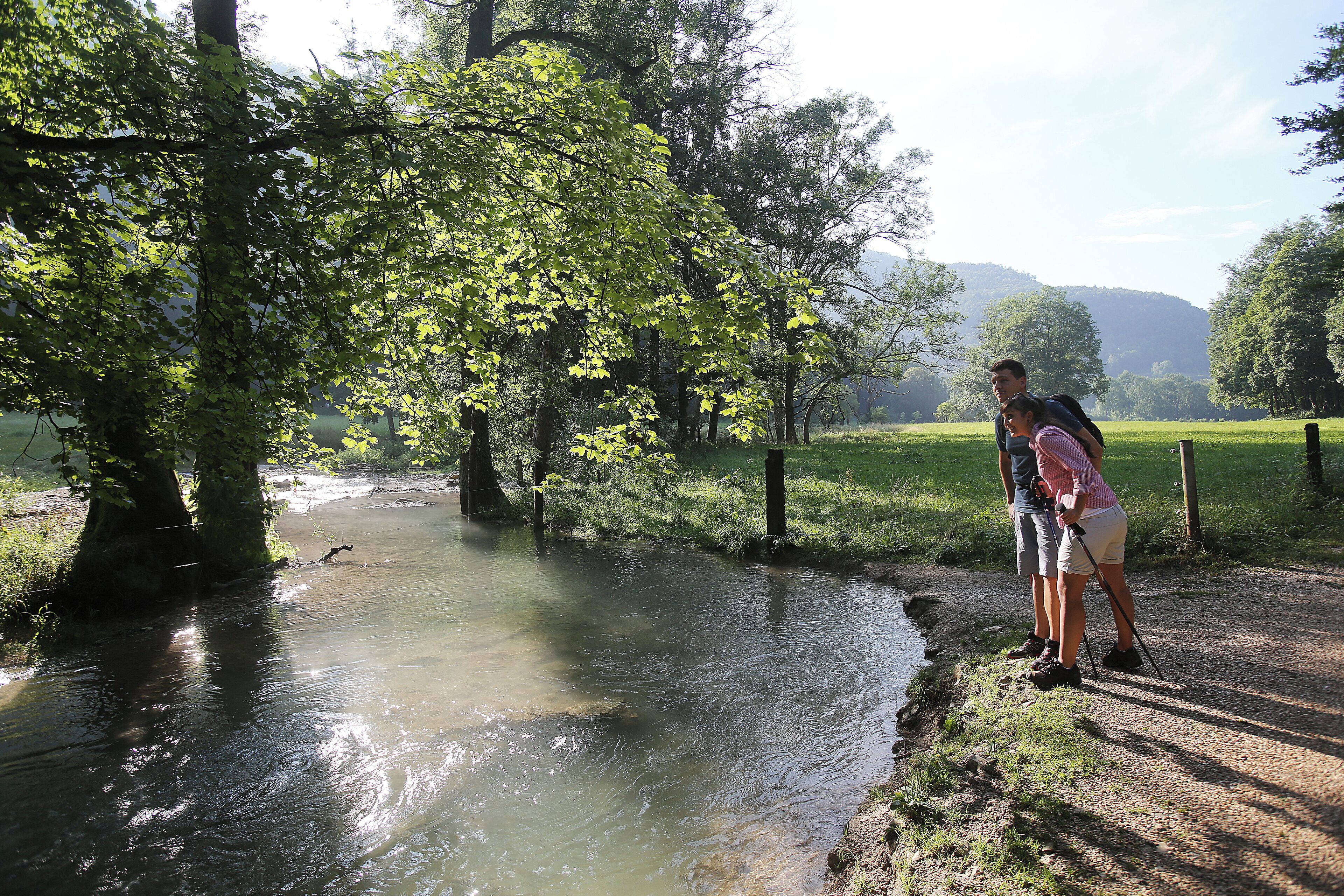 A natural outdoor setting with a water stream, trees, and a path.