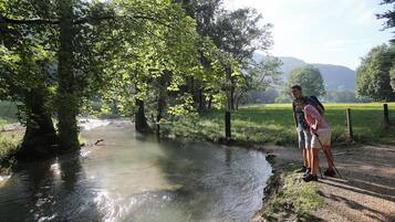 A natural outdoor setting with a water stream, trees, and a path.