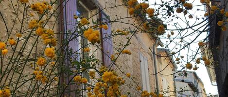 تفاصيل الفندق من الخارج