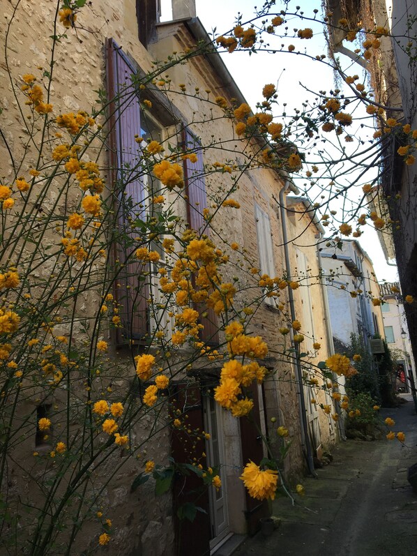 Détail de l’extérieur