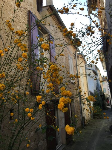 PRETTY HOUSE IN THE CITY CENTER OF EYMET