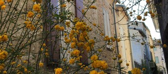 PRETTY HOUSE IN THE CITY CENTER OF EYMET