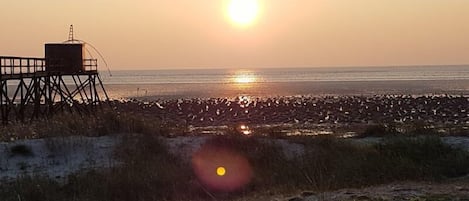 Beach nearby, white sand