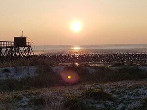 Tæt på stranden, hvidt sand