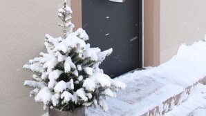 Una puerta con una maceta cubierta de nieve a su lado.