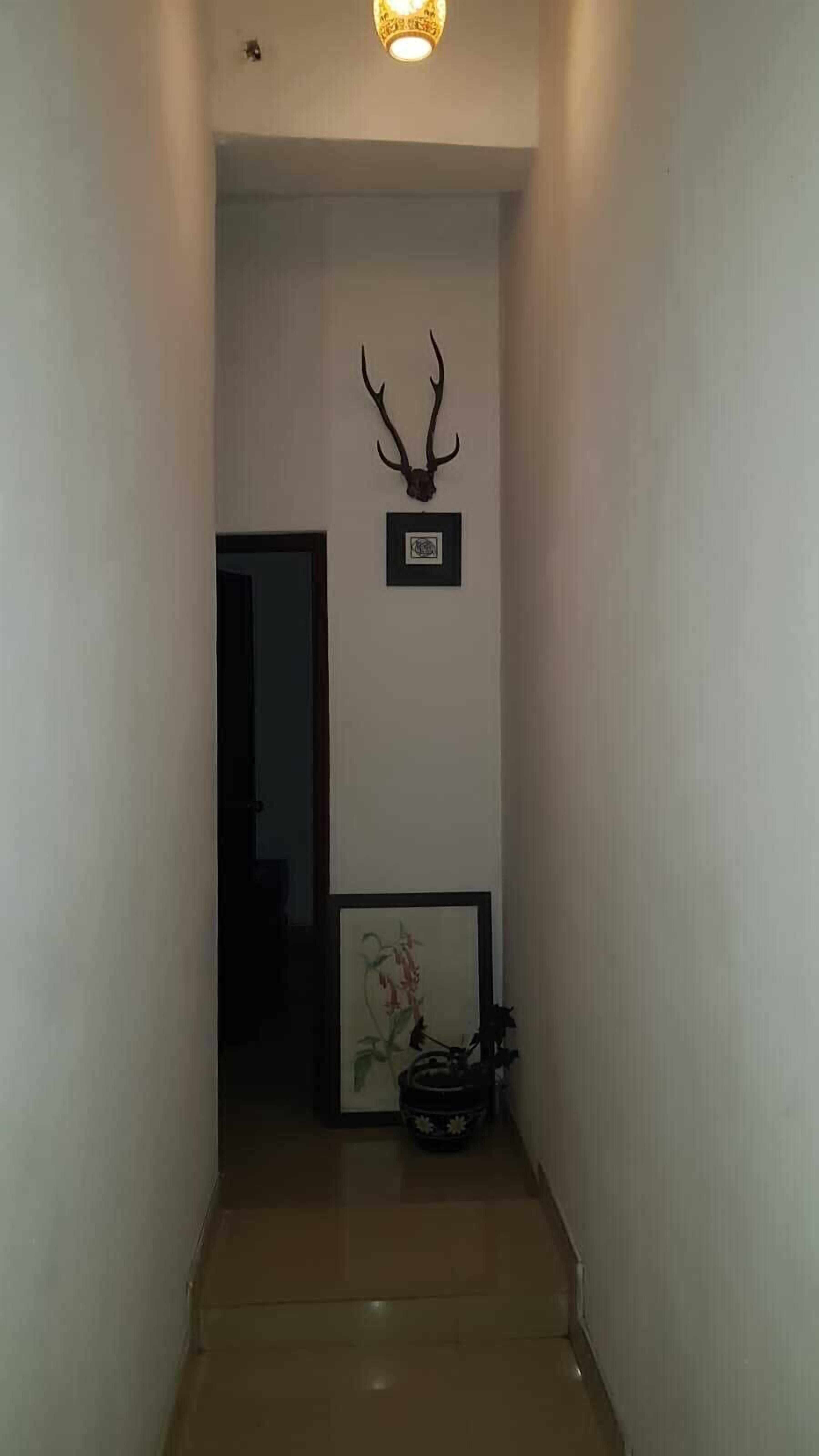 Un couloir orné d’une tête de cerf encadrée au mur, avec un tableau encadré en dessous, et un pot de plante à l’extrémité.