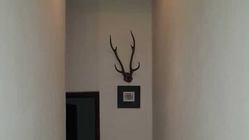 Un pasillo con un corzo enmarcados en la pared, un cuadro debajo y una planta en maceta al fondo.