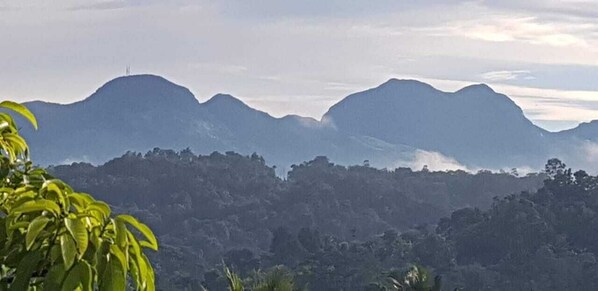 A mountainous landscape with dense forest.